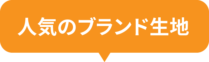 人気のブランド生地