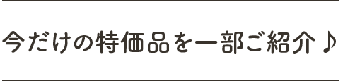 今だけの特価品を一部ご紹介♪